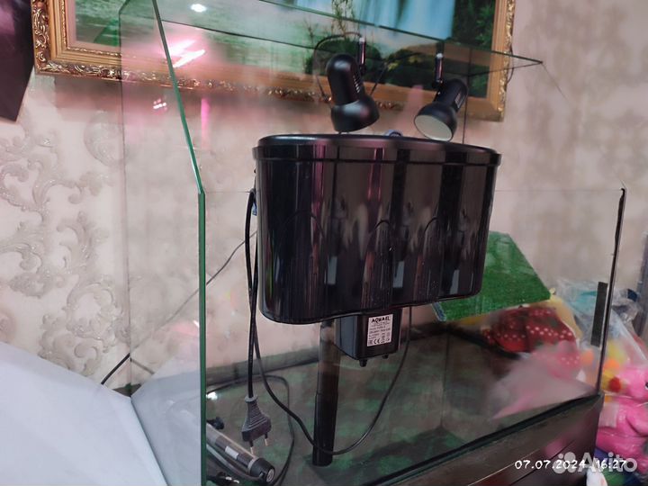 Черепашатник