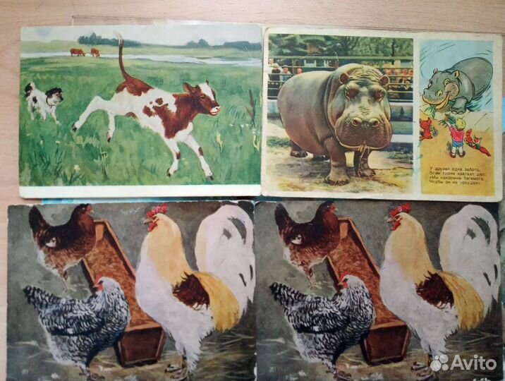 Открытки Мишки и др. Звери. СССР