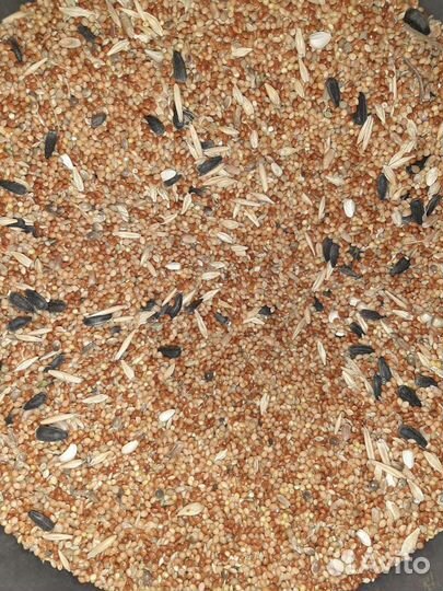 Корм для мелких и средних попугаев