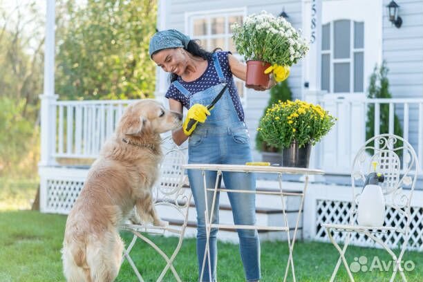 Продавец-кассир