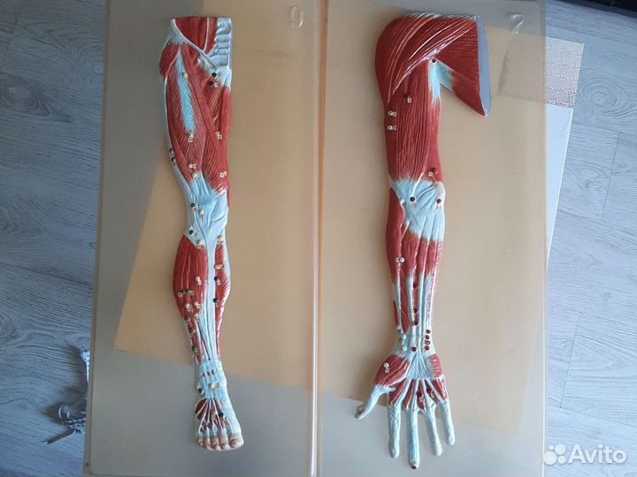 Наглядное пособие