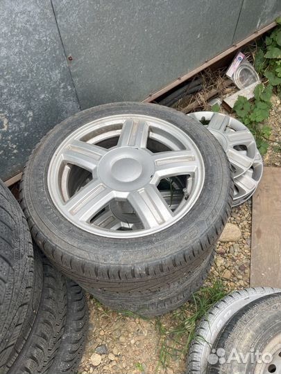 Торусы r15
