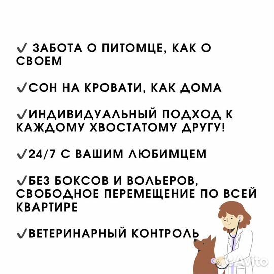 Выгул собак/домашняя передержка/зооняня/кинолог