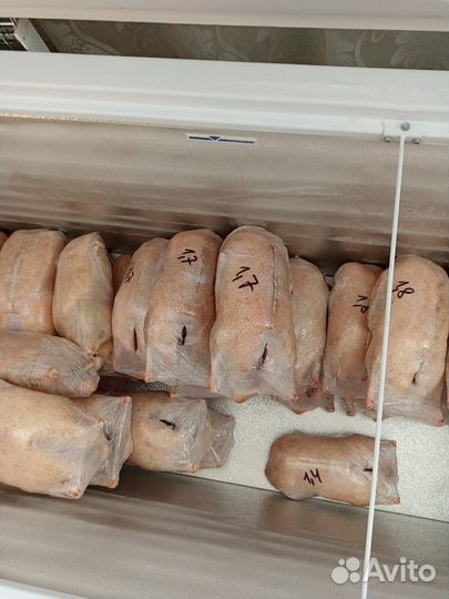Продам мясо утки