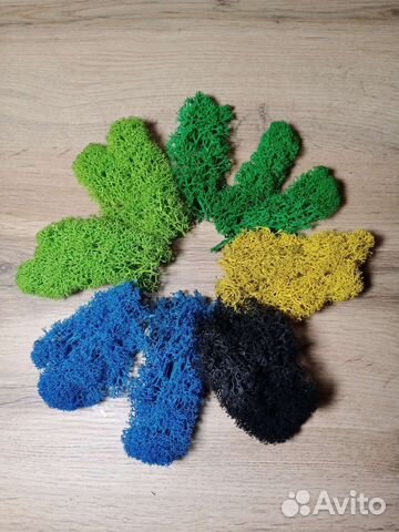 Стабилизированный мох