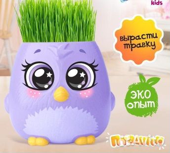 Набор для опытов «пташки, выращиваем травку»