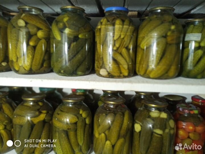 Домашние огурчики