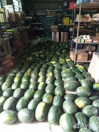 Арбузы