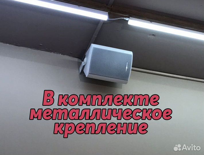 Настенные колонки cvgaudio NF5TW