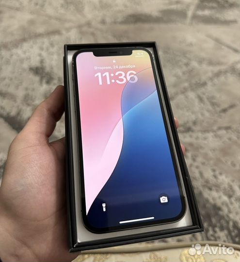 iPhone 12 Pro, 256 ГБ