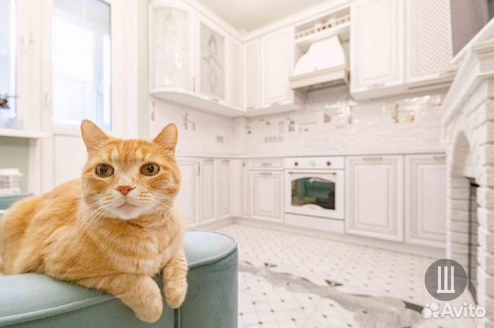 Кухня на заказ