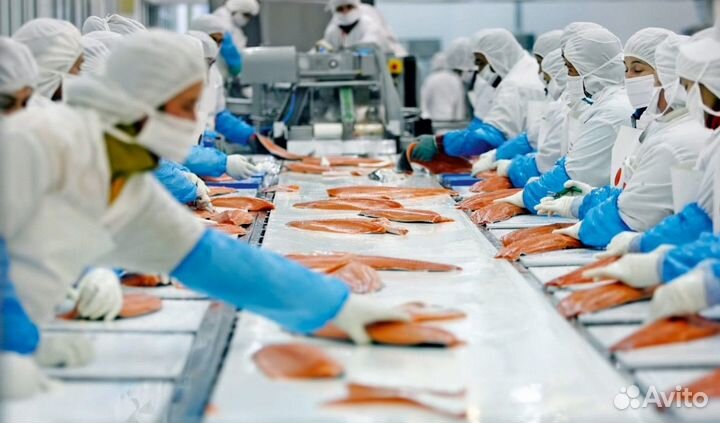 Рыбное производство