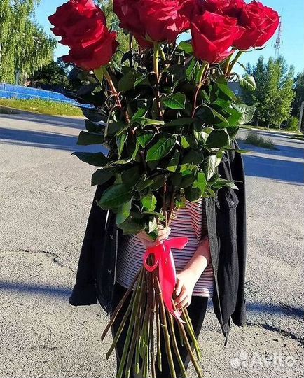 Высокие розы Доставка цветов