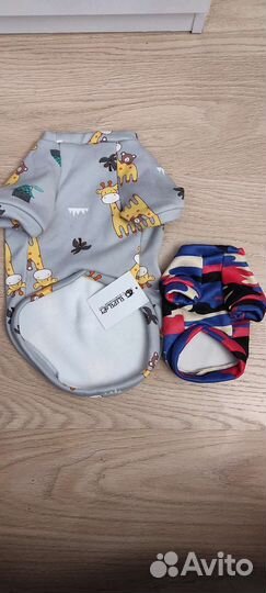 Одежда и обувь для собак