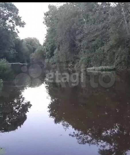 Участок 23,7 сот. (личное подсобное хозяйство (лпх))