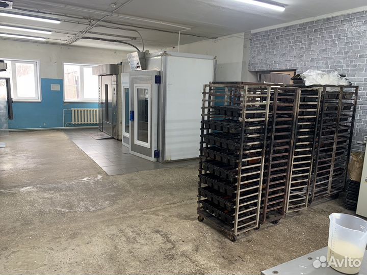 Готовый бизнес пекарня производство хлеба