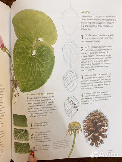 Дневник художника-натуралиста Джон Лоуз