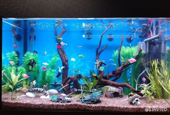 Аквариум
