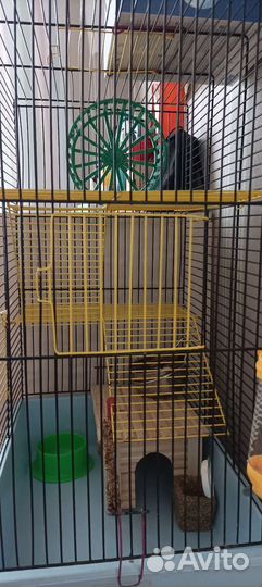 Клетка для грызунов большая