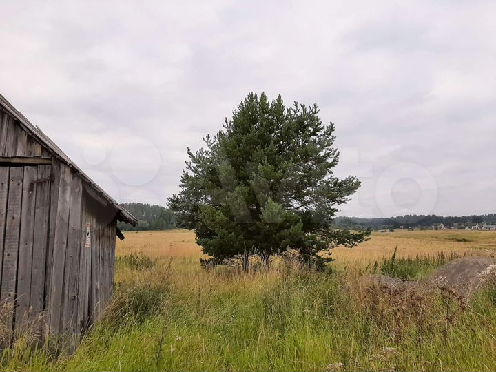 Дом 68,6 м² на участке 35,5 сот.