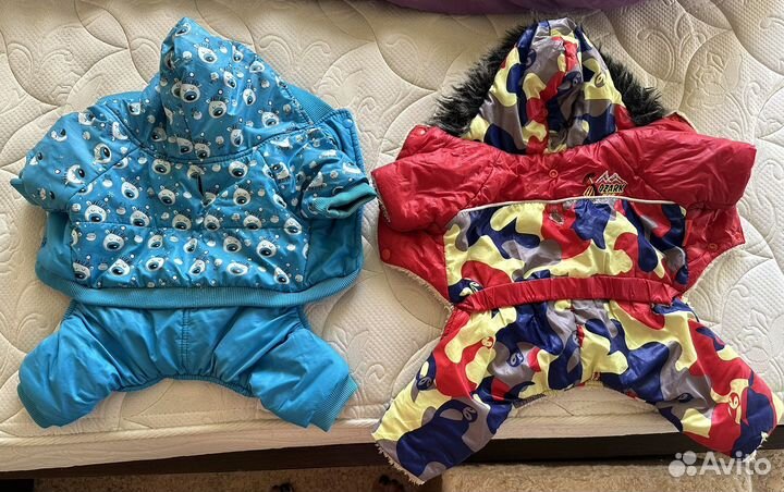 Одежда для собак мелких пород