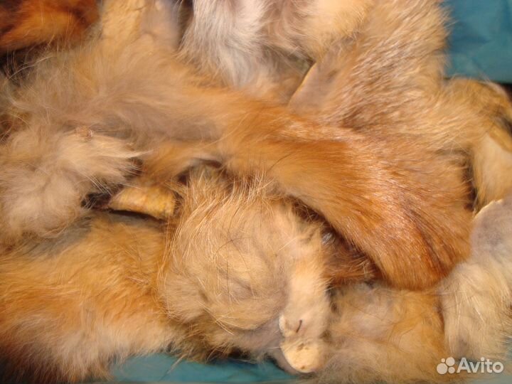 Мех лисы и кролика