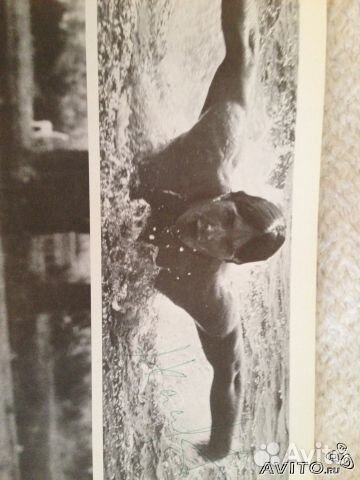 Альбом Хоккей. 26 Автографов