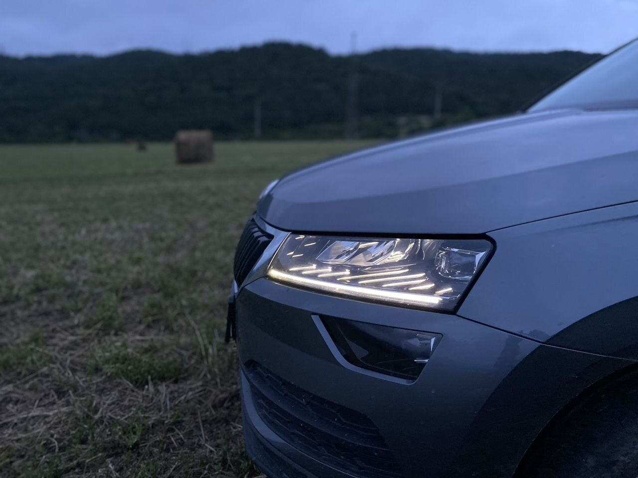 Skoda Karoq: фото владельца