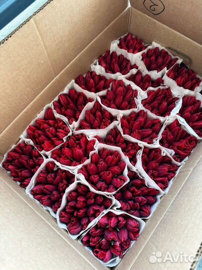 Тюльпаны свежие на 8 марта / Подарок маме