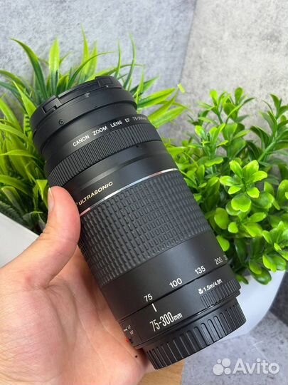 Объектив Canon EF 75-300mm f/4-5.6 III