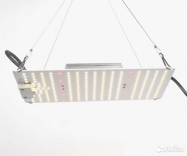 Quantum board 100W Samsung