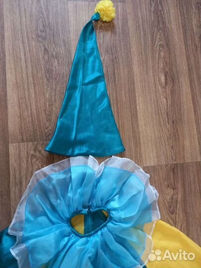 Костюм петрушки