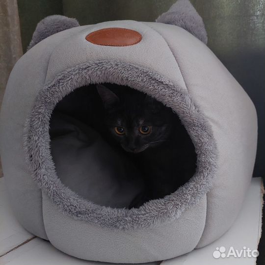 Домик для кошки мягкий б/у