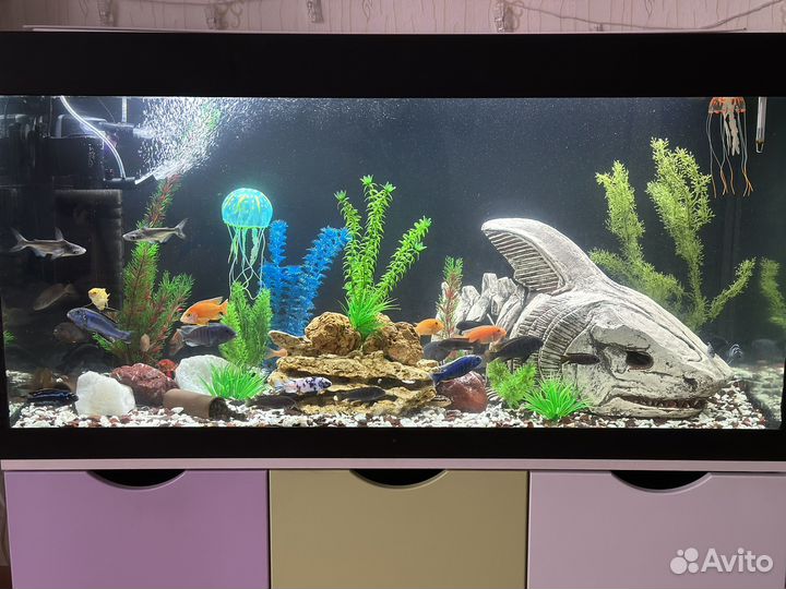 Аквариум 300л с рыбками