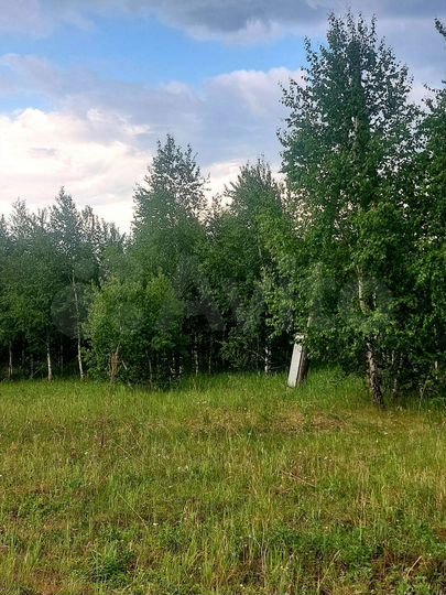 Участок 15 сот. (СНТ, ДНП)