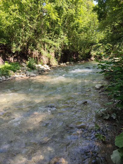 Участок 1,4 га (ИЖС)