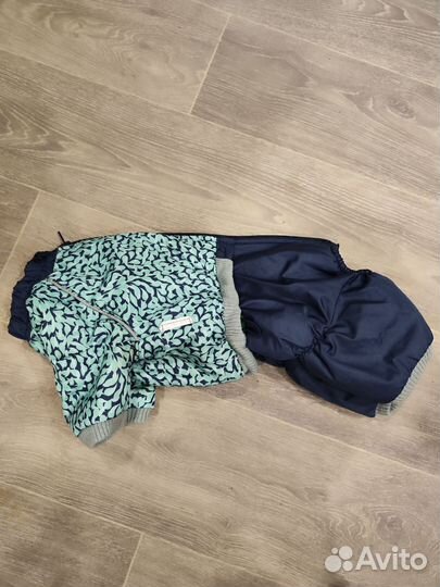 Комбинезон для собак L для мальчиков