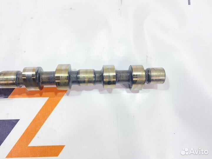 Распредвал Isuzu Giga CYJ51W3 6WF1 2000