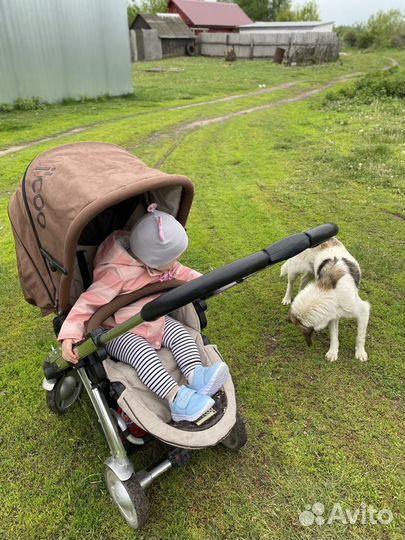 Коляска icoo 2 в 1