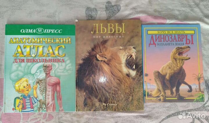 Обучающие книги