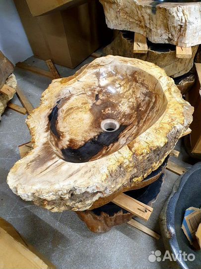 Раковина из натурального окаменелого дерева