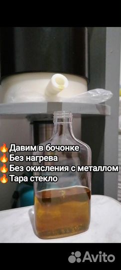 Масло Чёрного тмина Эфиопия, Индия