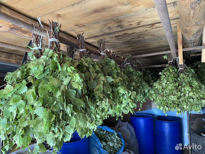 Веники для бани