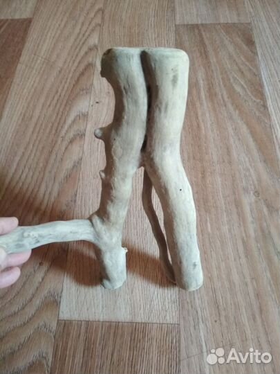 Коряги дрифтвуд