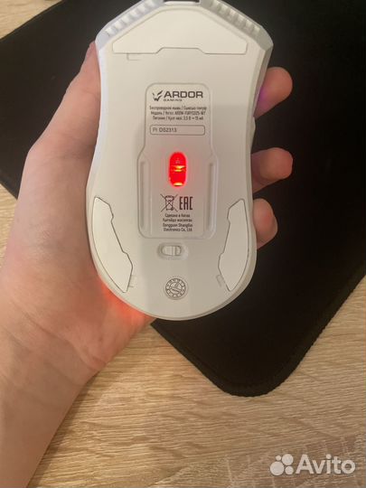 Ardor gaming fury