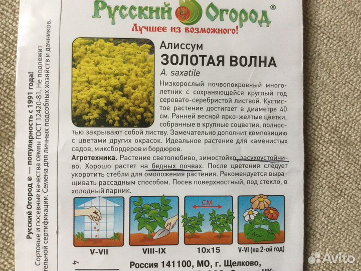 Алиссум многолетний