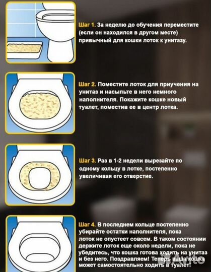 Лоток для приучения кота к туалету