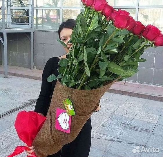 Розы Букеты Цветы Розы 31 101 151 201 Доставка