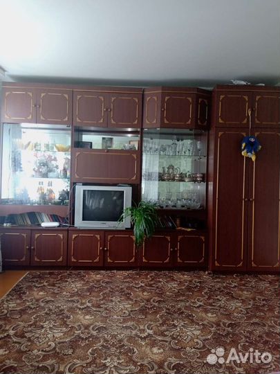 Стенка+телевизор