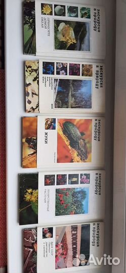 Открытки СССР